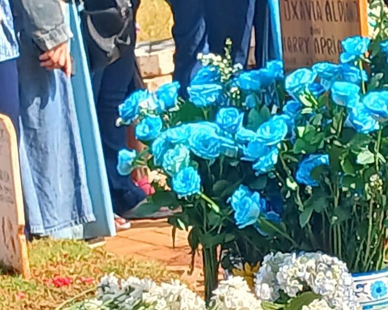 Suasana Haru di Makan Bertepatan Momen Ultah Vidi Aldiano