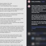 Kontroversi MC Viral: Shindy Bersuara Usai Sanksi MPR
