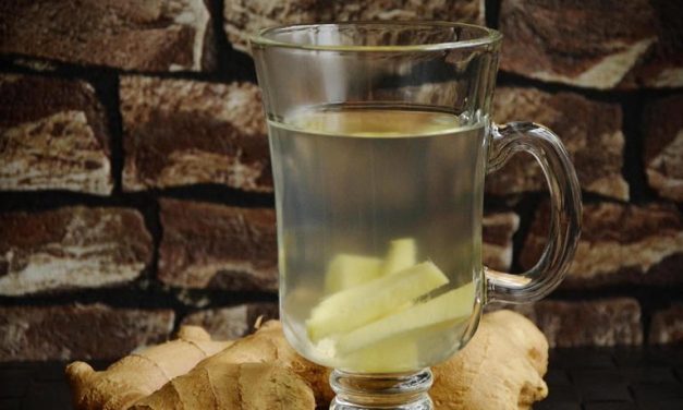 Terungkap! Manfaat Jahe (Zingiber Officinale) Untuk Fungsi Ginjal