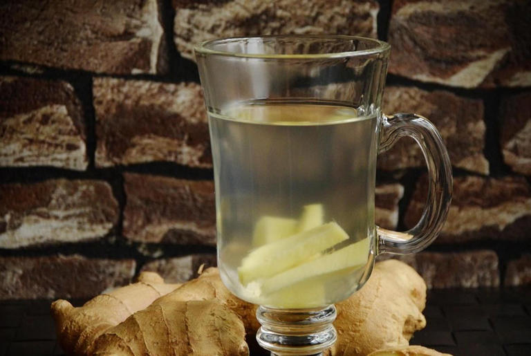 Terungkap! Manfaat Jahe (Zingiber Officinale) Untuk Fungsi Ginjal