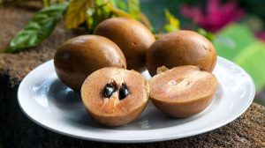 Rahasia Tubuh Ideal! Khasiat Buah Sawo Yang Wajib Di Ketahui