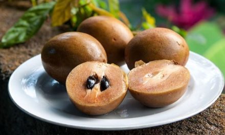 Rahasia Tubuh Ideal! Khasiat Buah Sawo Yang Wajib Di Ketahui