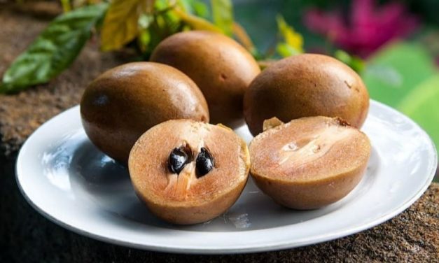 Rahasia Tubuh Ideal! Khasiat Buah Sawo Yang Wajib Di Ketahui